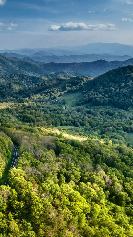 Rooted in the Real: Celebrating Earth Day in Mitchell County