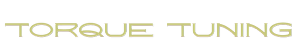 TORQUE TUNING Logo (1)_edited_edited.pn