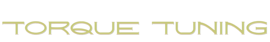 TORQUE TUNING Logo (1)_edited_edited.pn