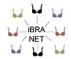 iBra_large_logo.jpg