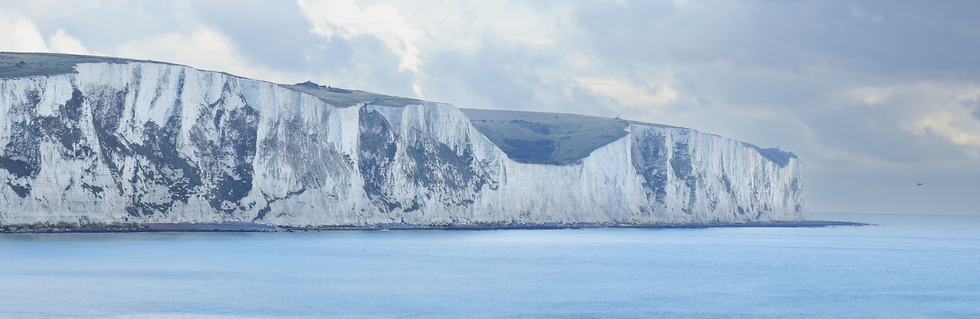 CF Website Header 3.png