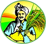 Lohitha Brand Rice.webp