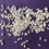 Thumbnail: BPT SONAMASURI STEAM RICE