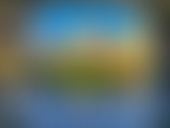 Os vencedores da semana do Concurso de Fotos Spotlink