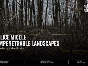 Arte editorial sobre Alice Miceli com referência a Chernobyl, radiação e campos minados, ilustrando exposição da artista brasileira sobre fotografia, território e violência.