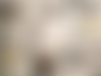 Mesa com documentos e anotações representando análise de conteúdos e tendências no mercado da fotografia