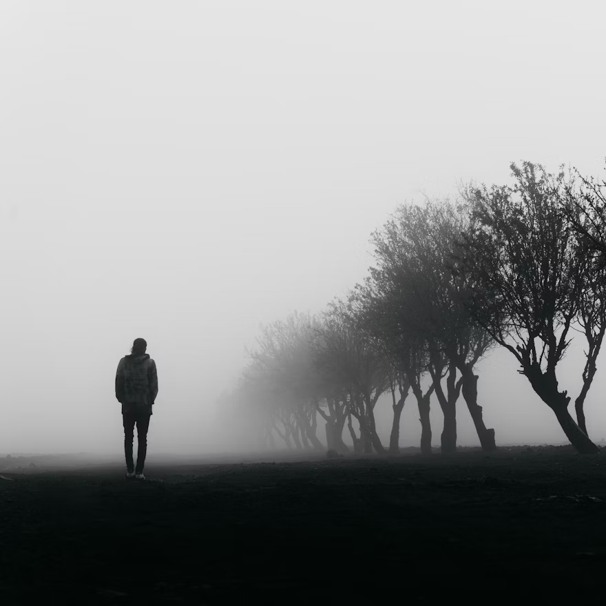 Behnam Samipour/Unsplash