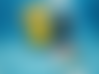 Câmera instantânea subaquática