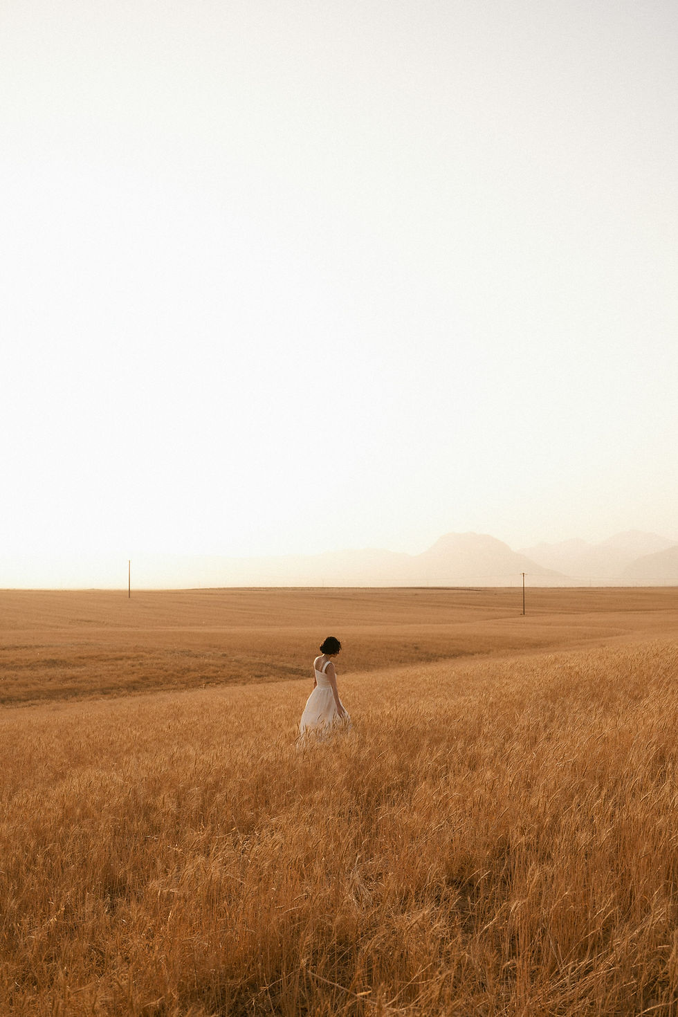 Ali Karimiboroujeni/Unsplash