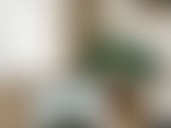 laptop de fotógrafo no escritório