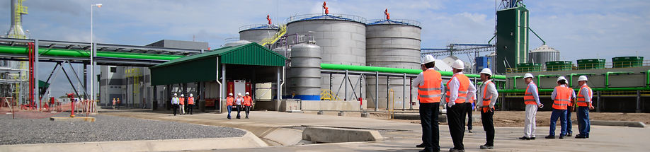 Consulting & Management for CAPEX and Strategic Projects