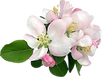 0_123ba5_2c218873_M.png