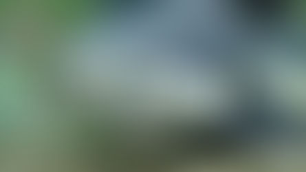  -Placeholder - Stories Coming Soon