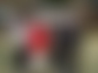 地元墨田区にて開催された「すみだ若手商業人大交流会」のイベントにて、「伝統×文化×技術」の分野で、登壇させていただきました🌸