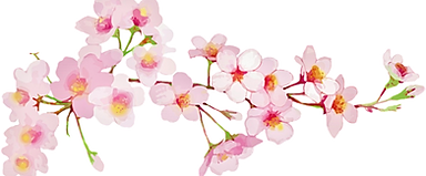 111_编辑.png