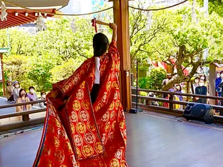 毎朝7時、ライブ配信いたしました!