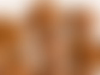 Maple Cinnamon Purity Coffee Gummies