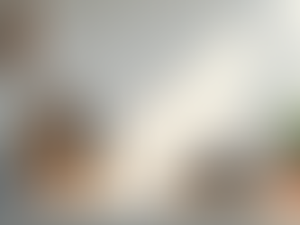 Simple Steps to Start Cooking