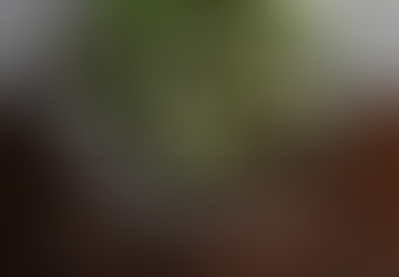 How to Bounce Back When You’ve Gone Off Track