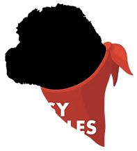 Gypsy Doodles Alberta's friendliest Golden Doodle breeder