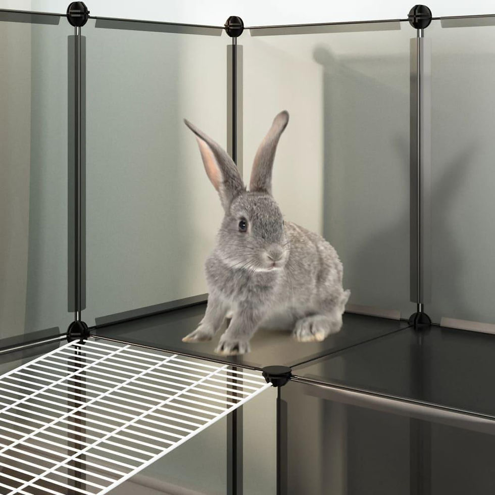 Thumbnail: vidaXL Small Animal Cage Black 56.3"x42.1"x36.6" PP and Steel