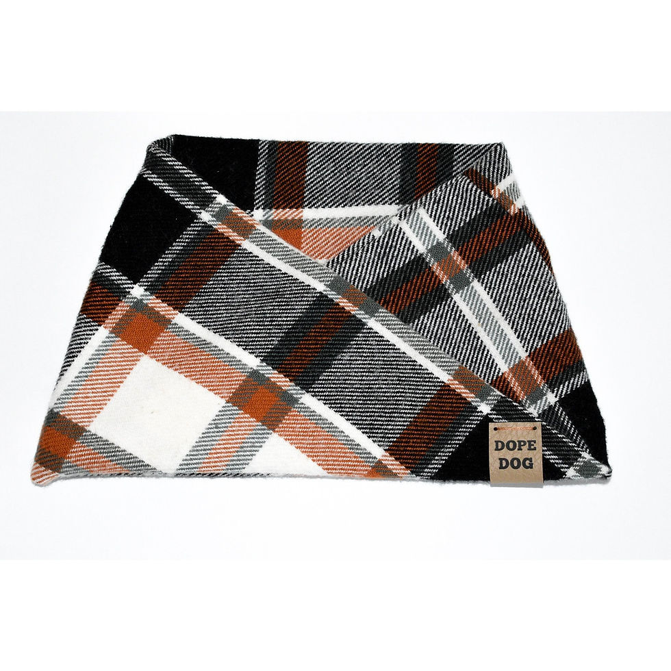 Thumbnail: Pecan Pie - Dog Scarf