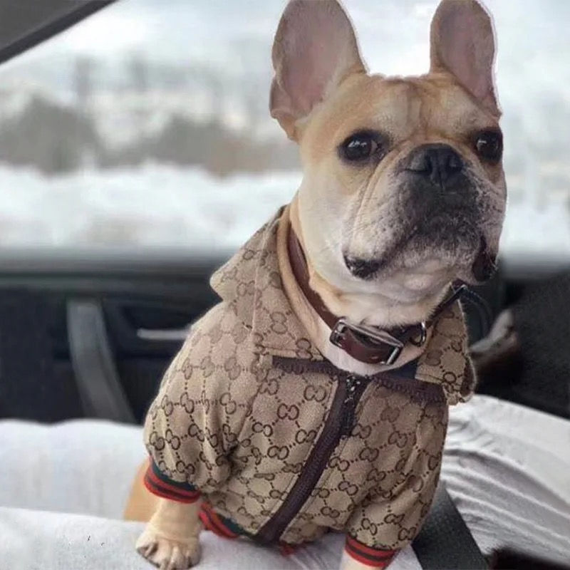 Thumbnail: Gucci Down Summer Jacket