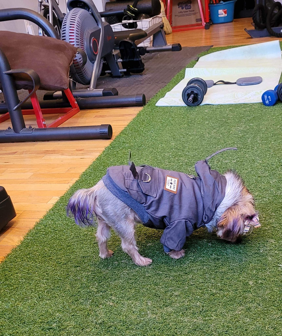 Thumbnail: Plush Pet Coat 