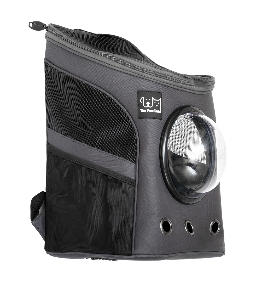 Thumbnail: Pet Bubble Backpack