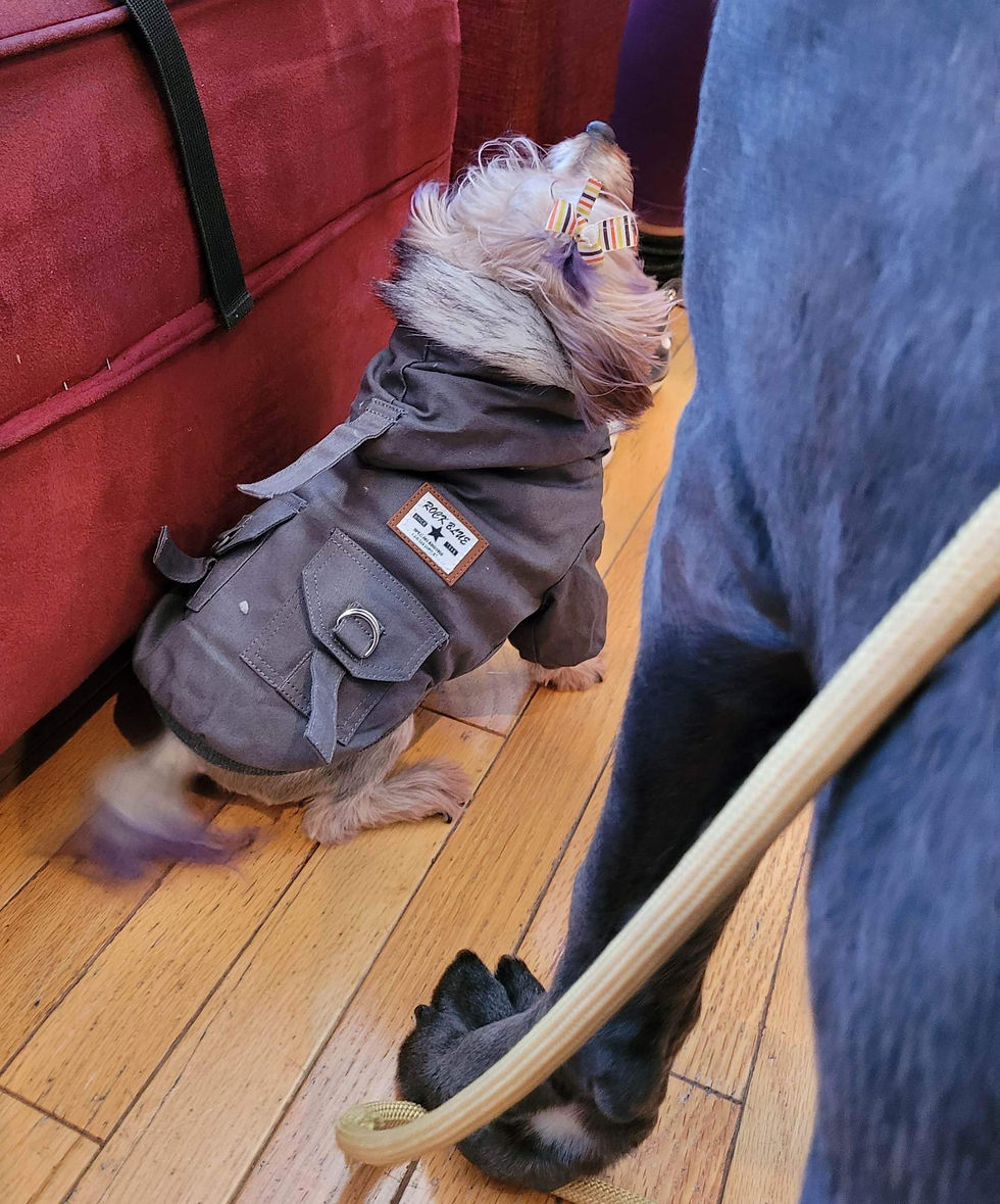 Thumbnail: Plush Pet Coat 