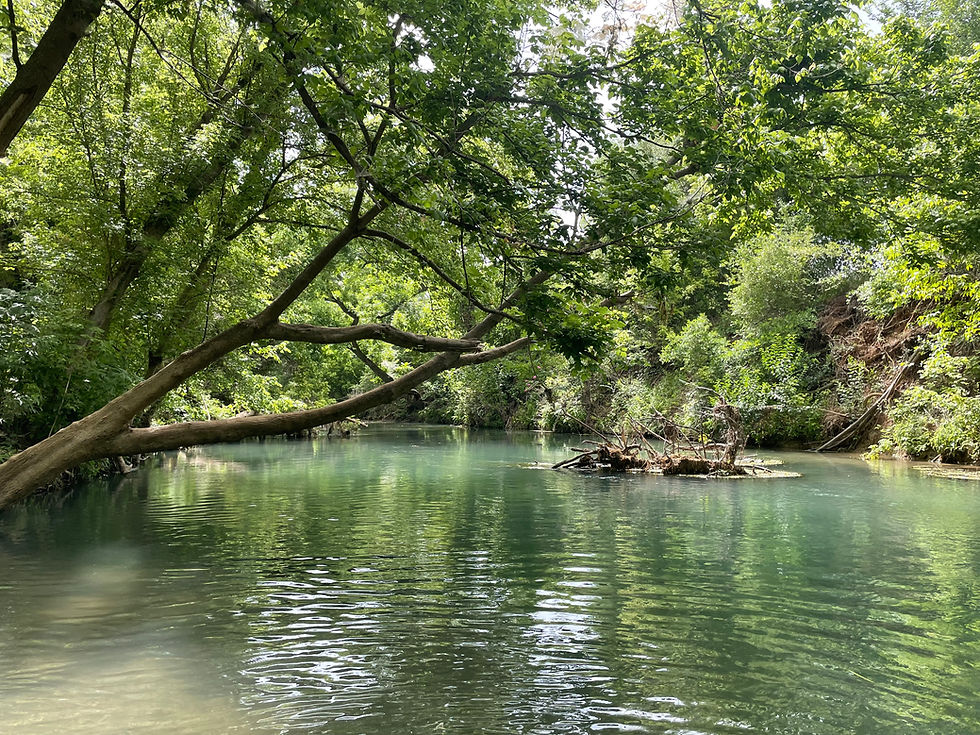 Eye-level view of the San Marcos River flowing through a green park area