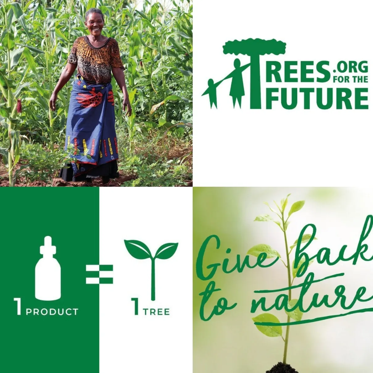 Trees For The Future