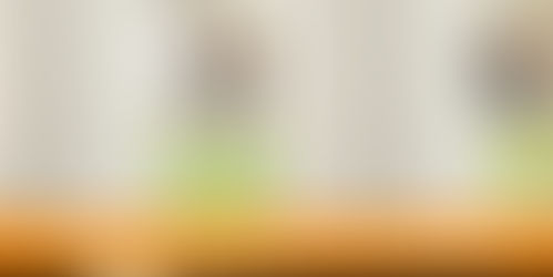 The Power of Extra -Thin Blackout for Curtains & Roller Shades                                        