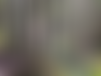 Living life without regrets