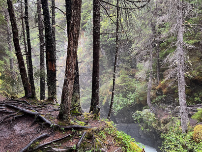 Living life without regrets