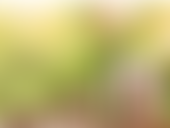 Unlocking The Key To Success In The Business World