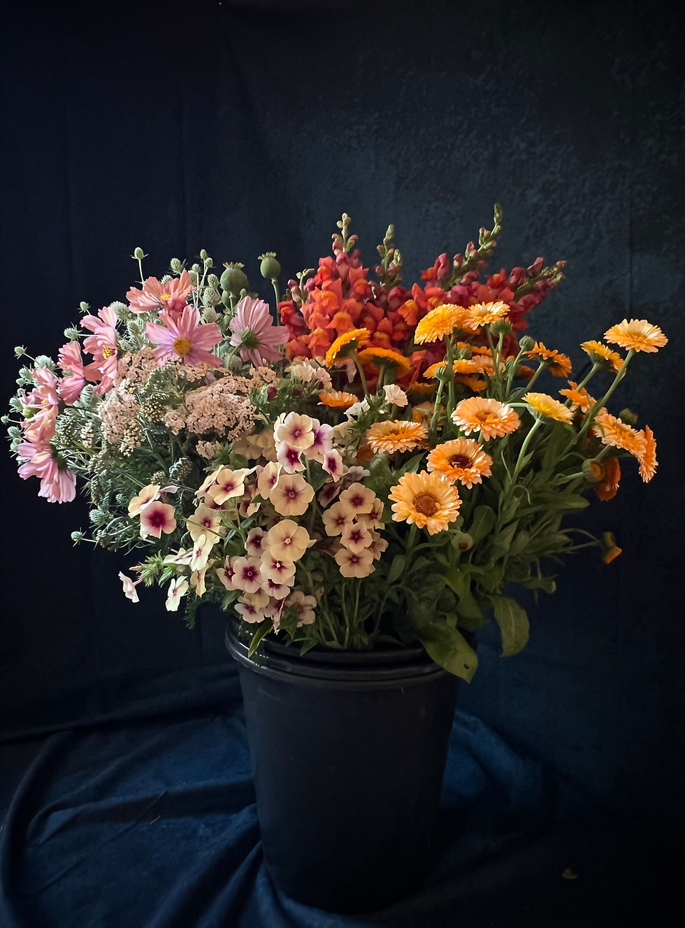 Thumbnail: Bulk Bloom Bucket