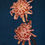 Thumbnail: Chysanthemum - River City Disbud (5 stem bu)