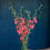 Thumbnail: Clarkia - Salmon (bu)