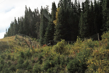 à travers les Laurentides vers Québec