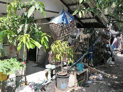 Thaïlande sud, Koh Panyi, un coin d'habitation