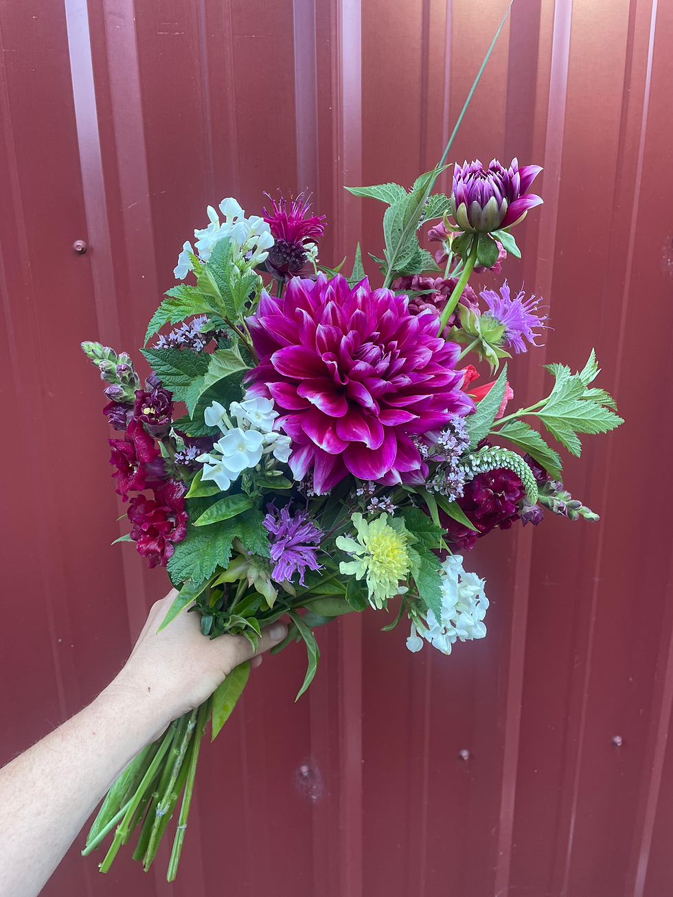 Thumbnail: Flower CSA • June - October