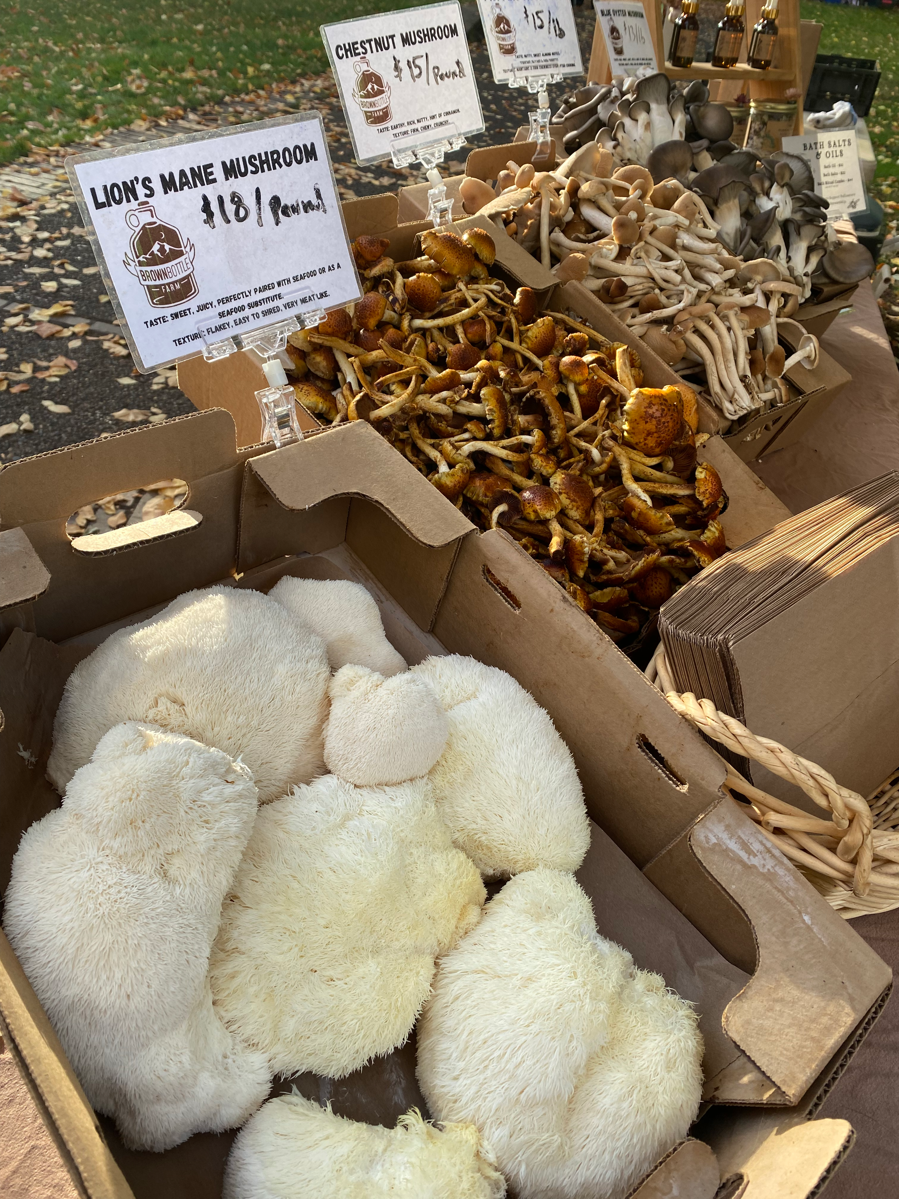 Fresh Mushroom CSA Add-on!