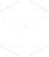 IIP logo bianco