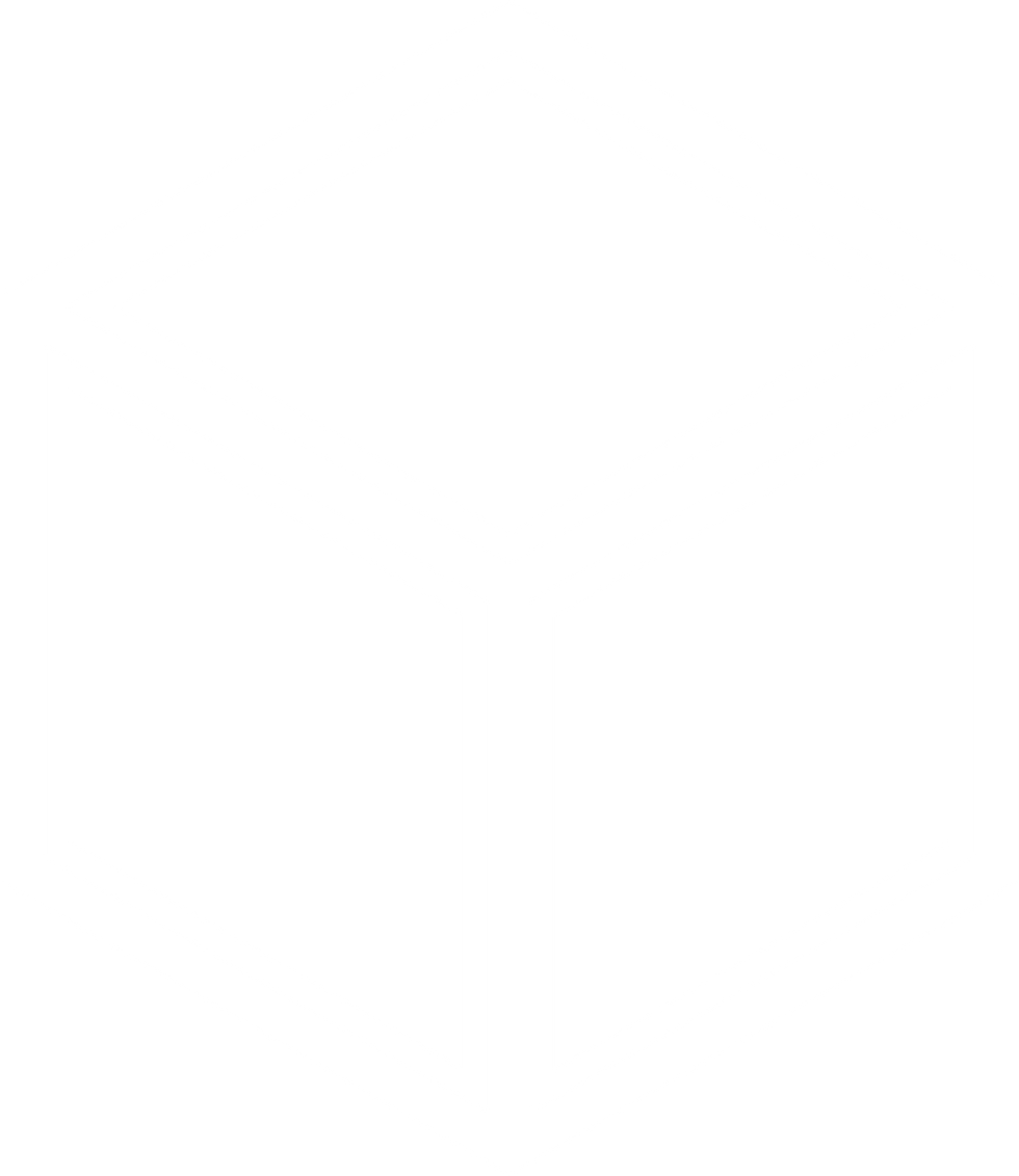 IIP_vettoriale cubo white clean.png