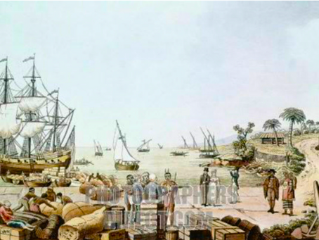The Roots of Liberty: Why I Am Sharing My Family Tree Journey