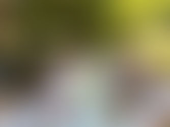 VENDREDI 8 ET SAMEDI 9 AOUT