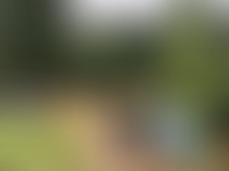 Des nouvelles de nos campeurs !