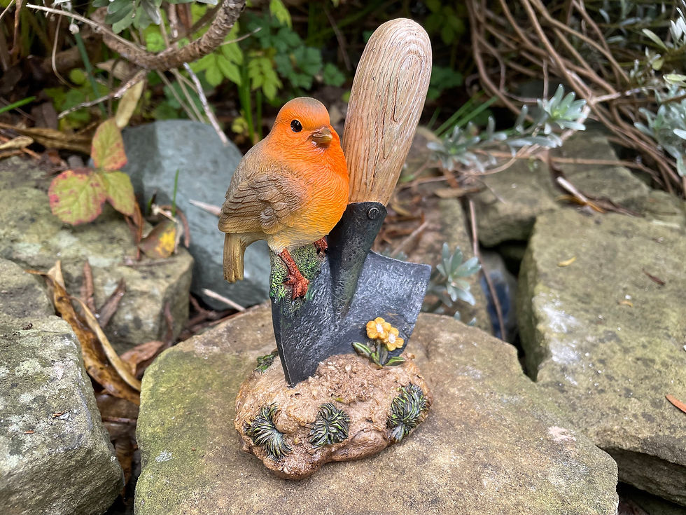Thumbnail: Vivid Arts - Robin on Trowel