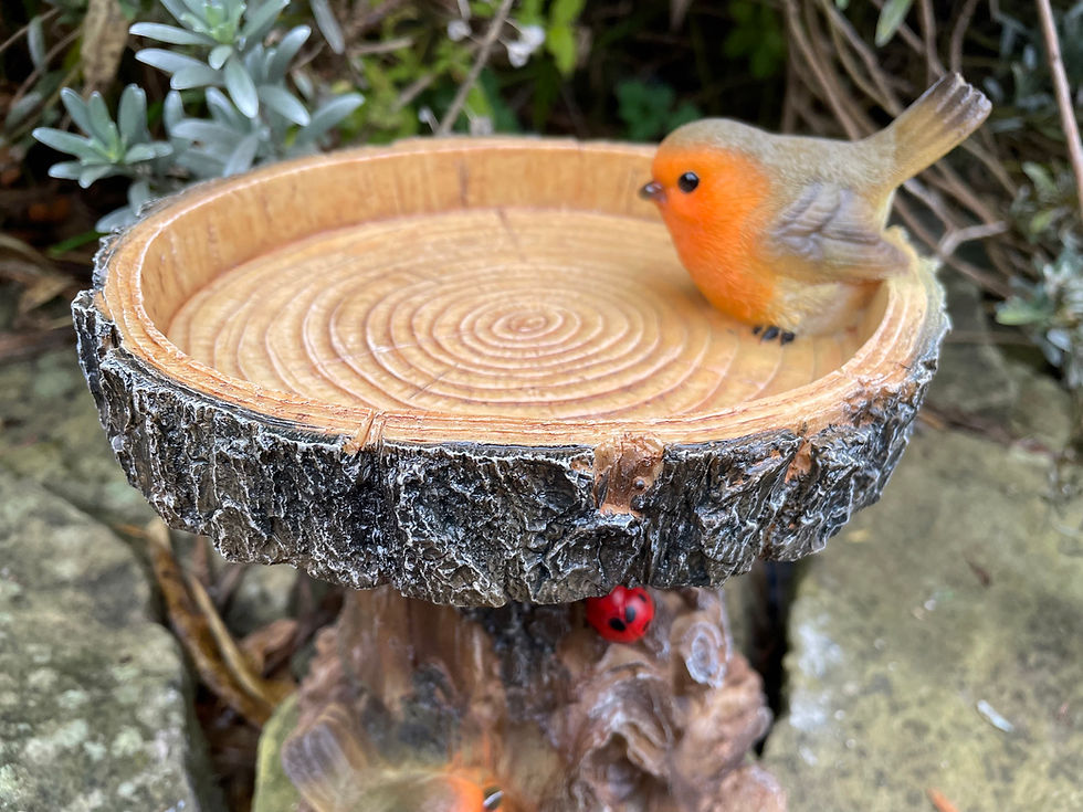 Thumbnail: Vivid Arts - Robin Bird Feeder